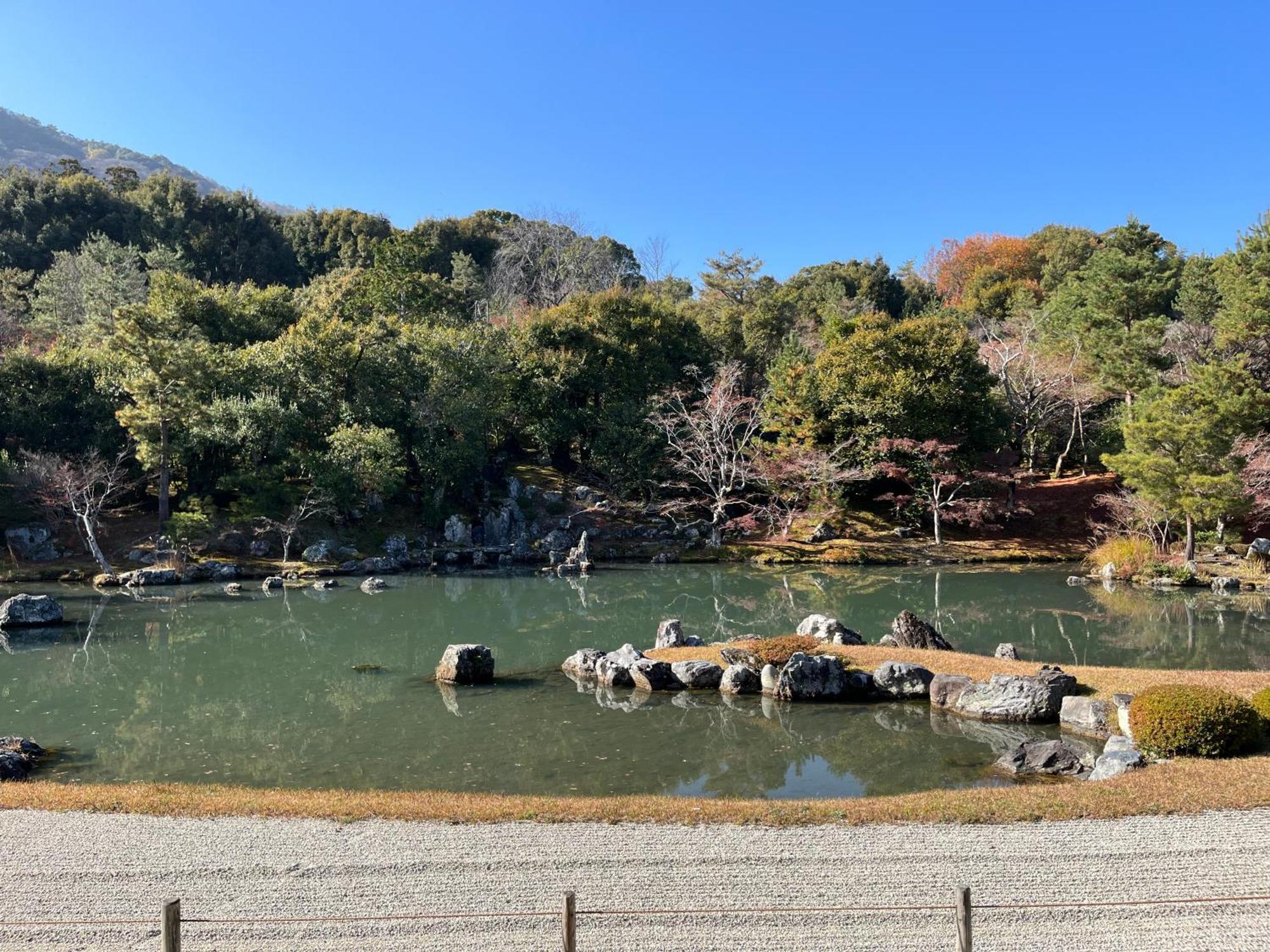 嵐山 天龍の宿 駐車無料 一棟貸切 最大5人 Dragon Legend Arashiyama Central Private Rare Modern Villa Free Parking Max 5Ppl Shimosaga Экстерьер фото